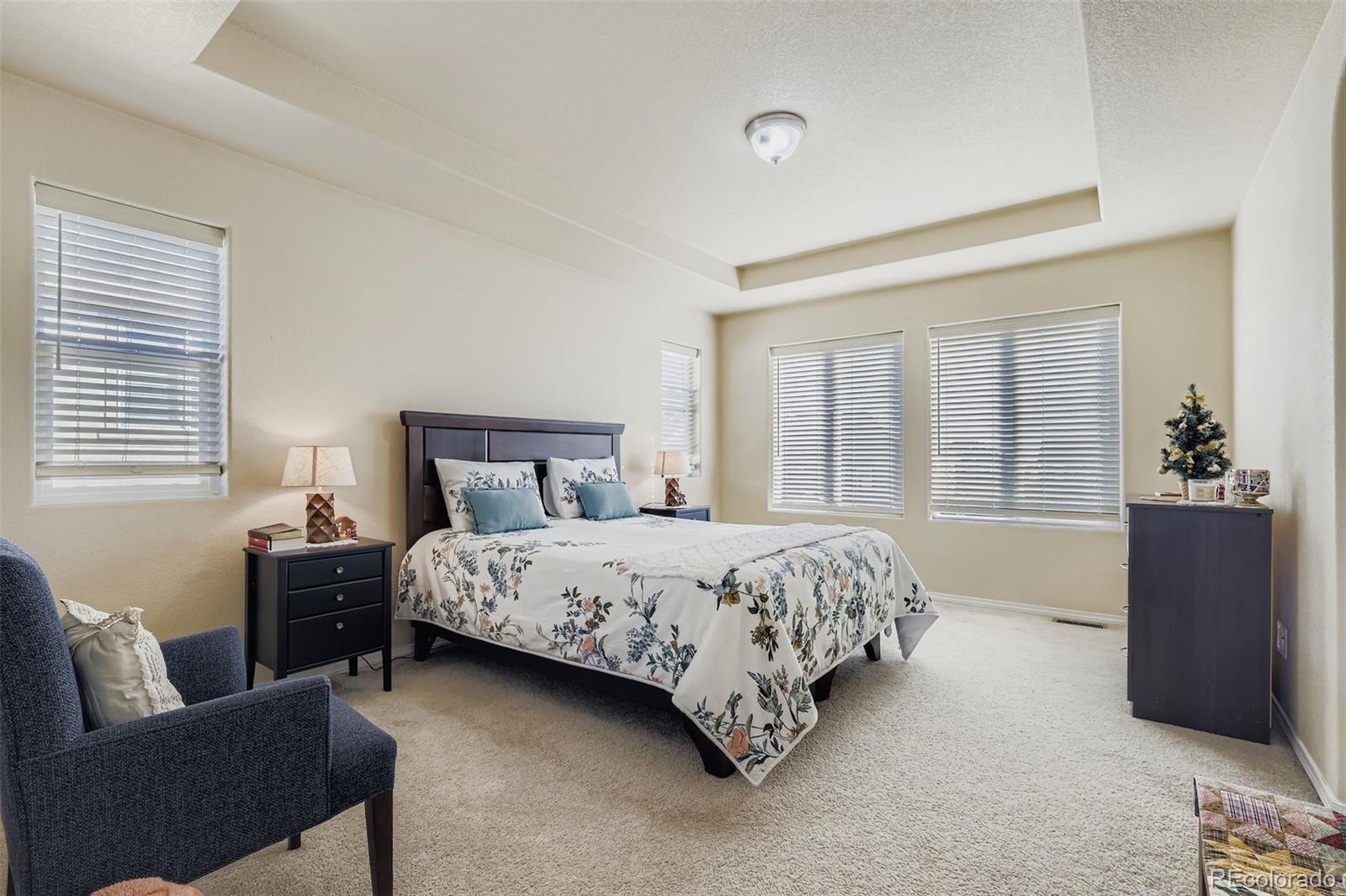 MLS Image #10 for 5835  thurber drive,colorado springs, Colorado