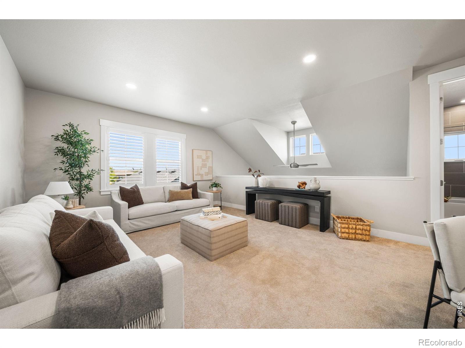 MLS Image #16 for 4304  ardglass lane,timnath, Colorado