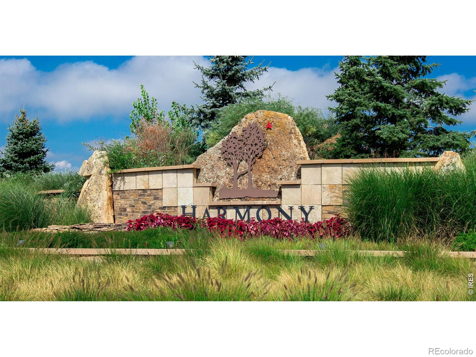 MLS Image #45 for 4304  ardglass lane,timnath, Colorado