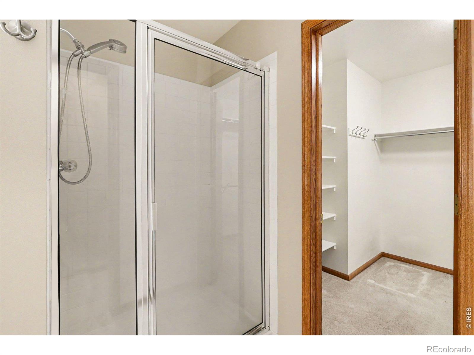 MLS Image #17 for 3036  eastgate lane,fort collins, Colorado