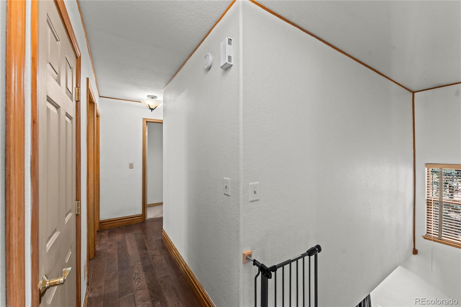 MLS Image #15 for 101  heather circle,divide, Colorado