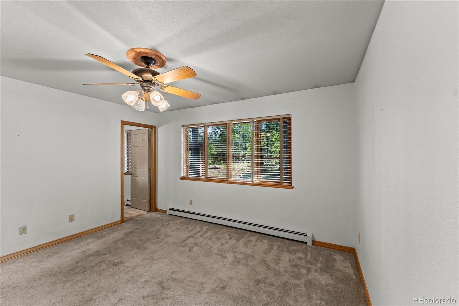 MLS Image #17 for 101  heather circle,divide, Colorado