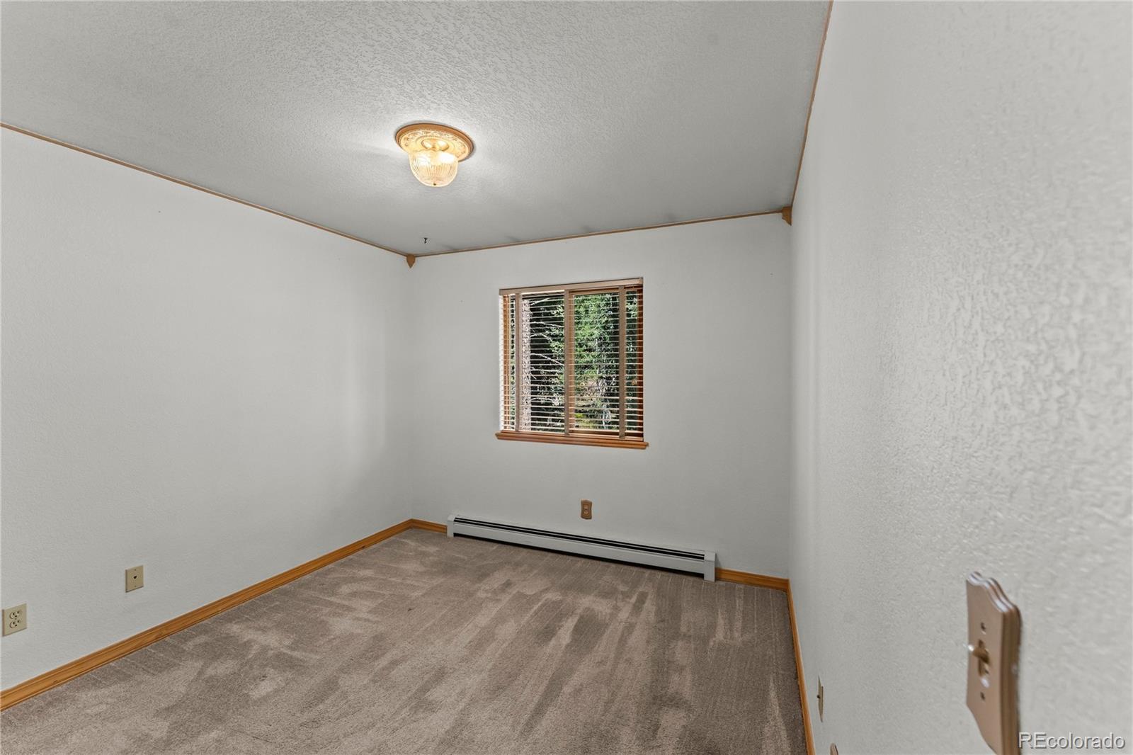 MLS Image #20 for 101  heather circle,divide, Colorado