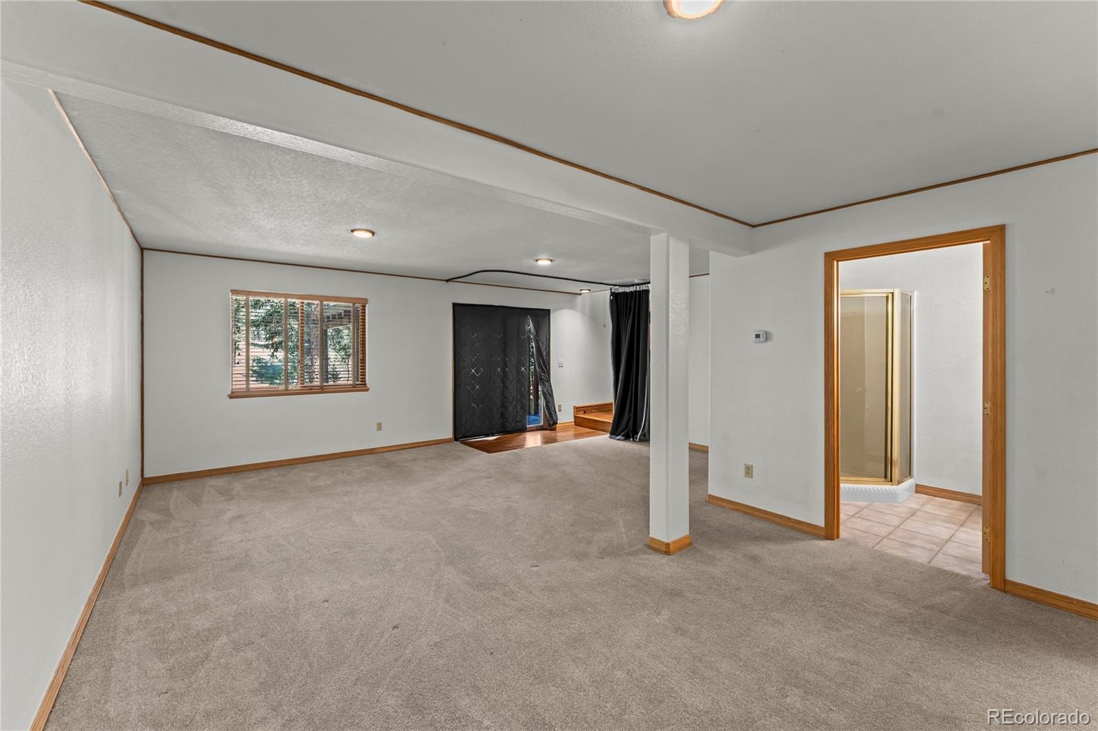 MLS Image #27 for 101  heather circle,divide, Colorado