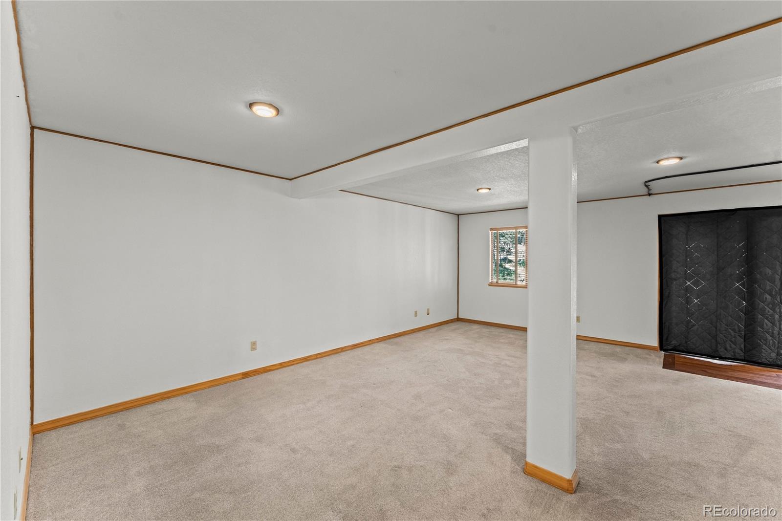MLS Image #28 for 101  heather circle,divide, Colorado