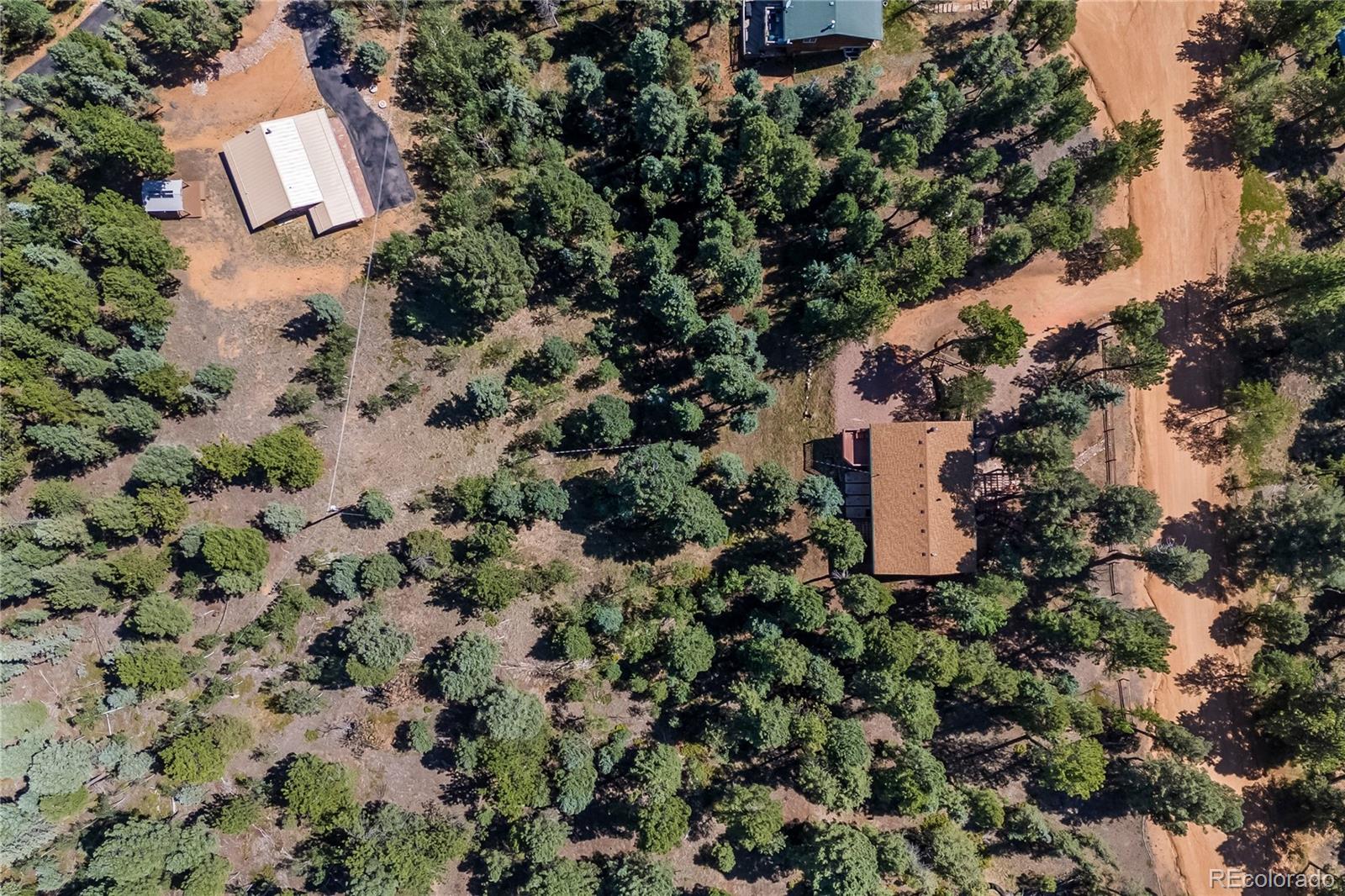 MLS Image #3 for 101  heather circle,divide, Colorado