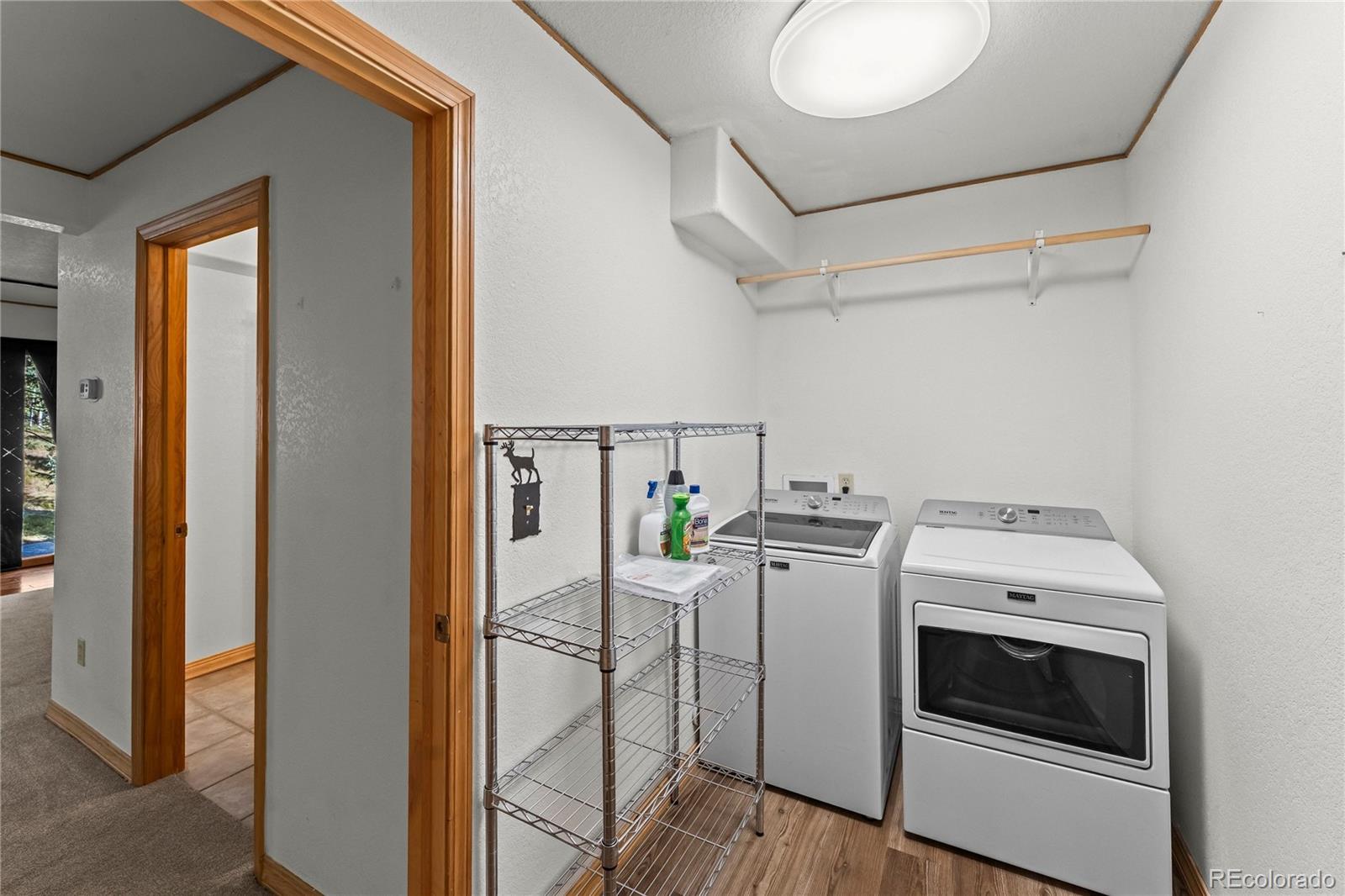 MLS Image #31 for 101  heather circle,divide, Colorado