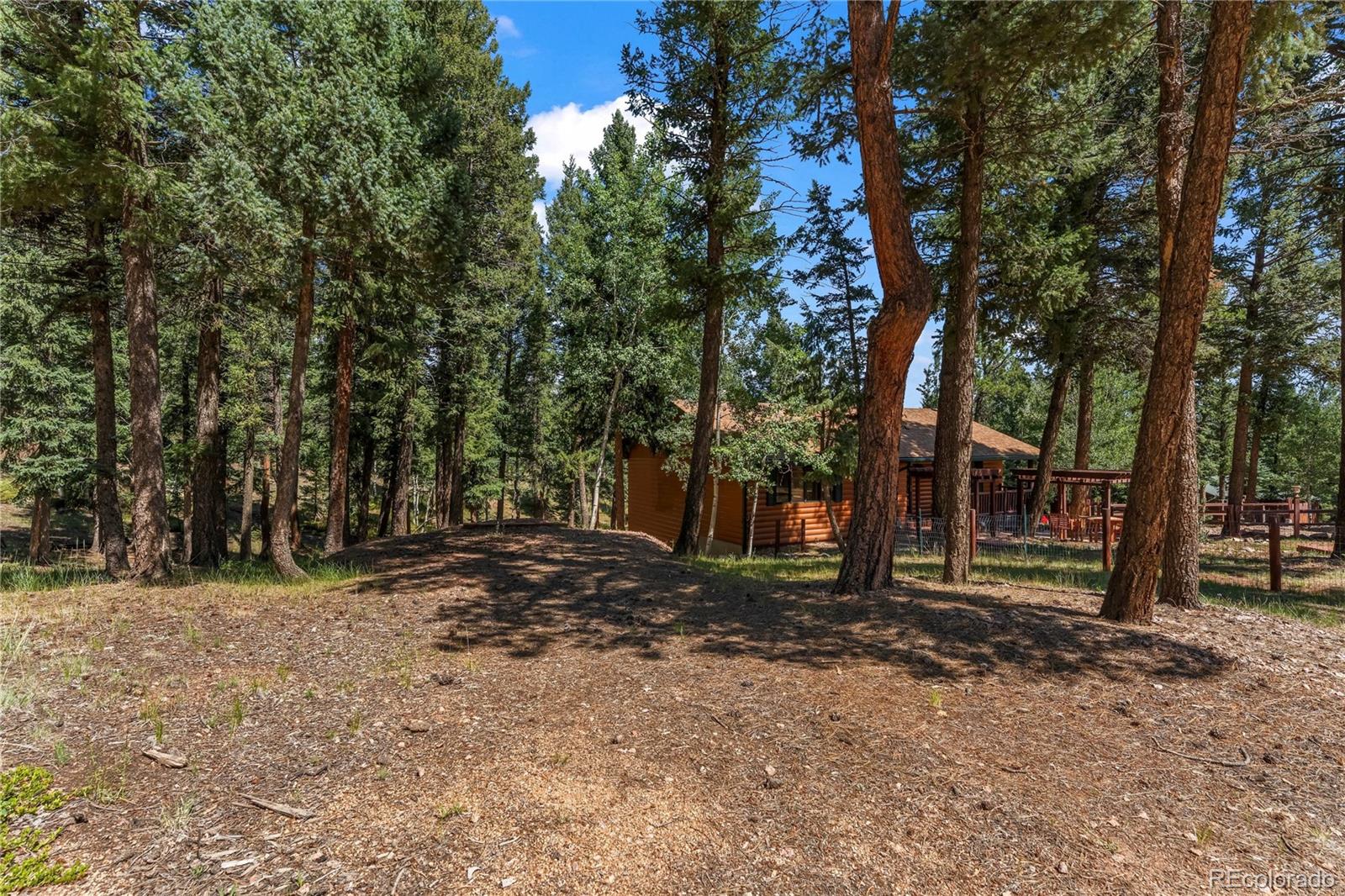 MLS Image #36 for 101  heather circle,divide, Colorado