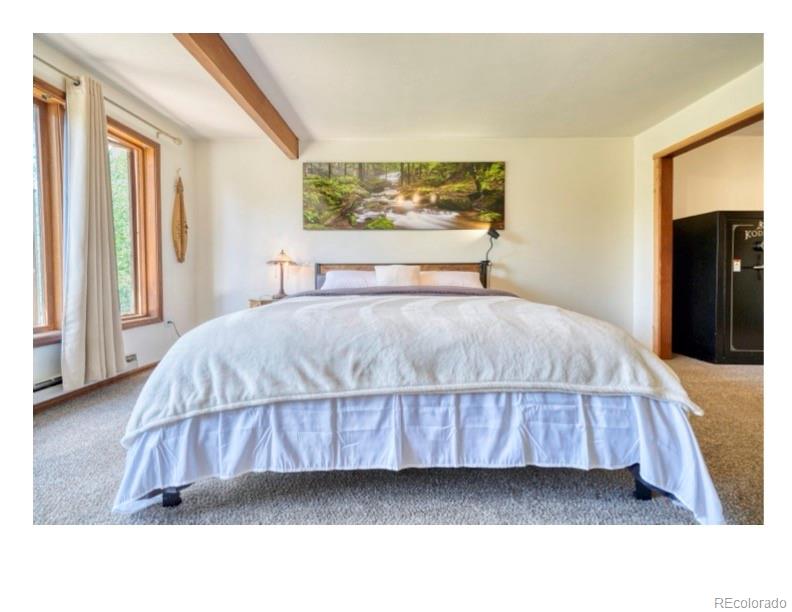 MLS Image #13 for 1447  coyote circle,black hawk, Colorado