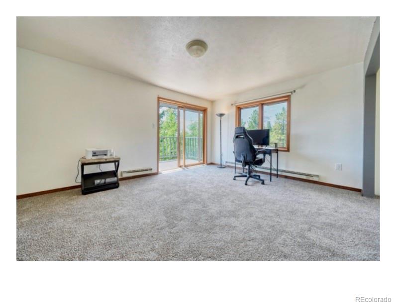 MLS Image #21 for 1447  coyote circle,black hawk, Colorado