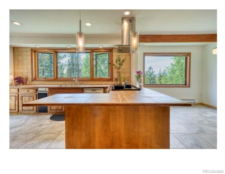 MLS Image #6 for 1447  coyote circle,black hawk, Colorado