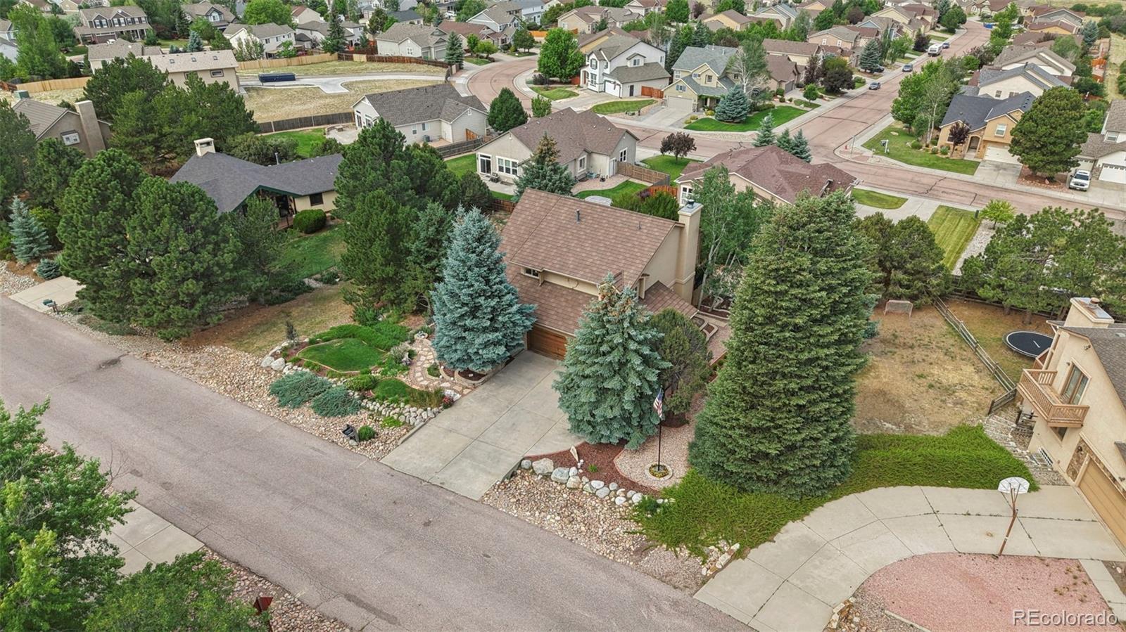MLS Image #4 for 14570  bermuda dunes way,colorado springs, Colorado