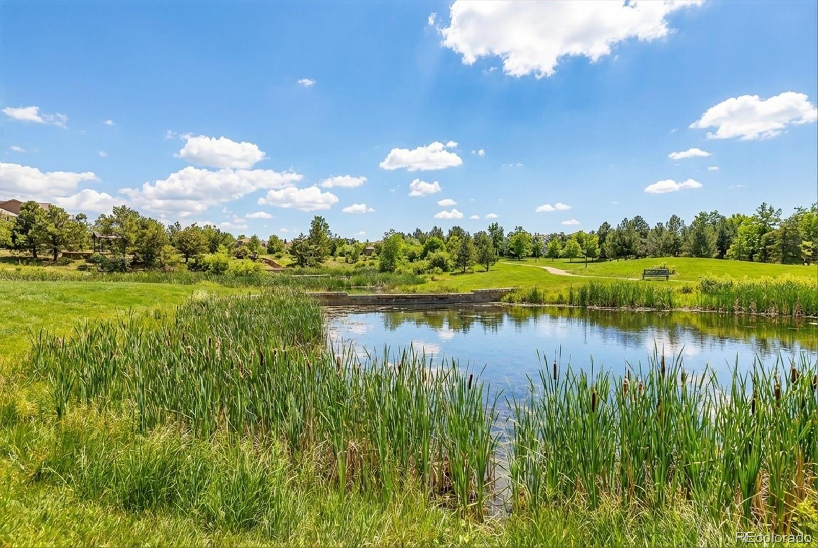 MLS Image #36 for 15993  swan mountain drive,broomfield, Colorado