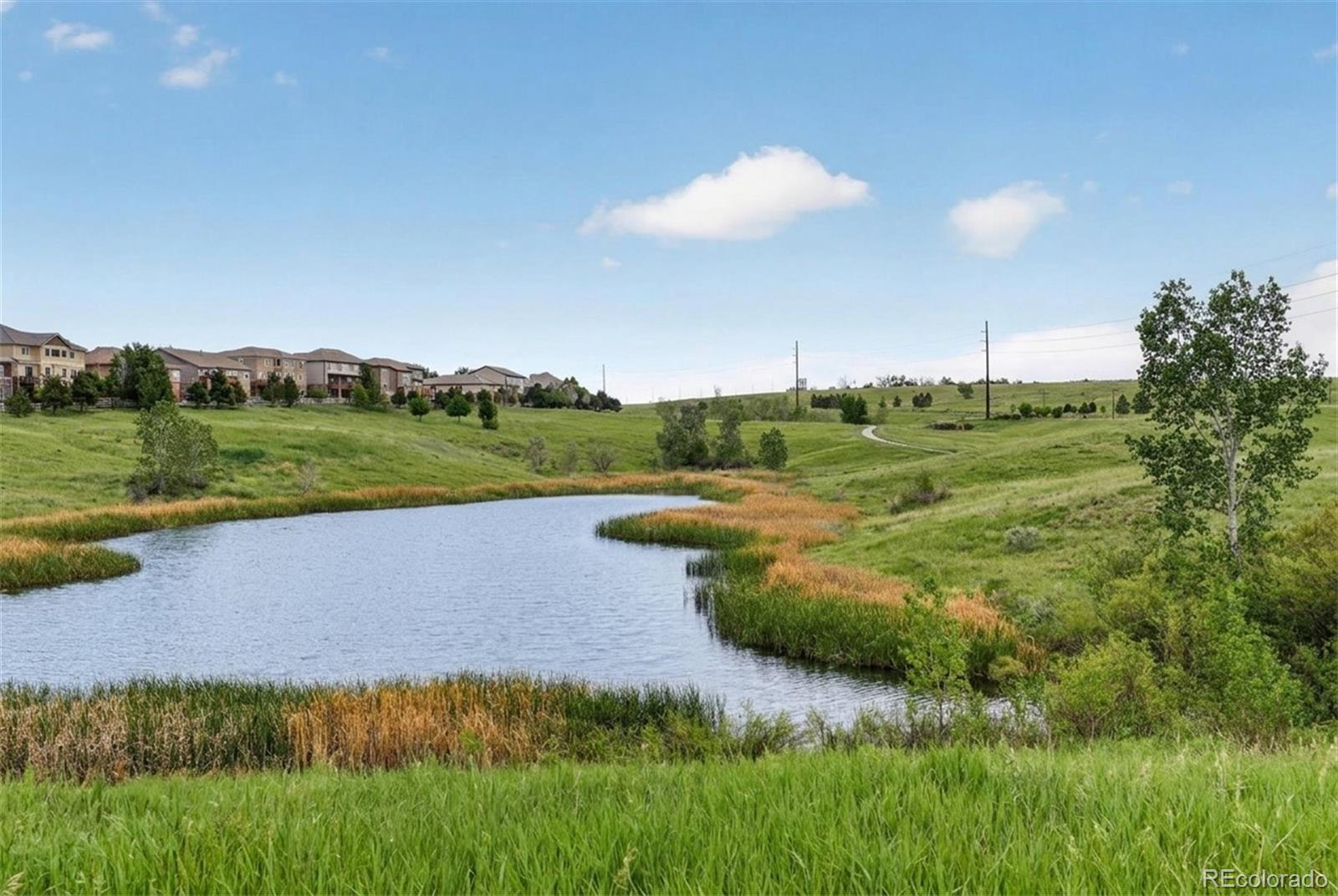 MLS Image #42 for 15993  swan mountain drive,broomfield, Colorado