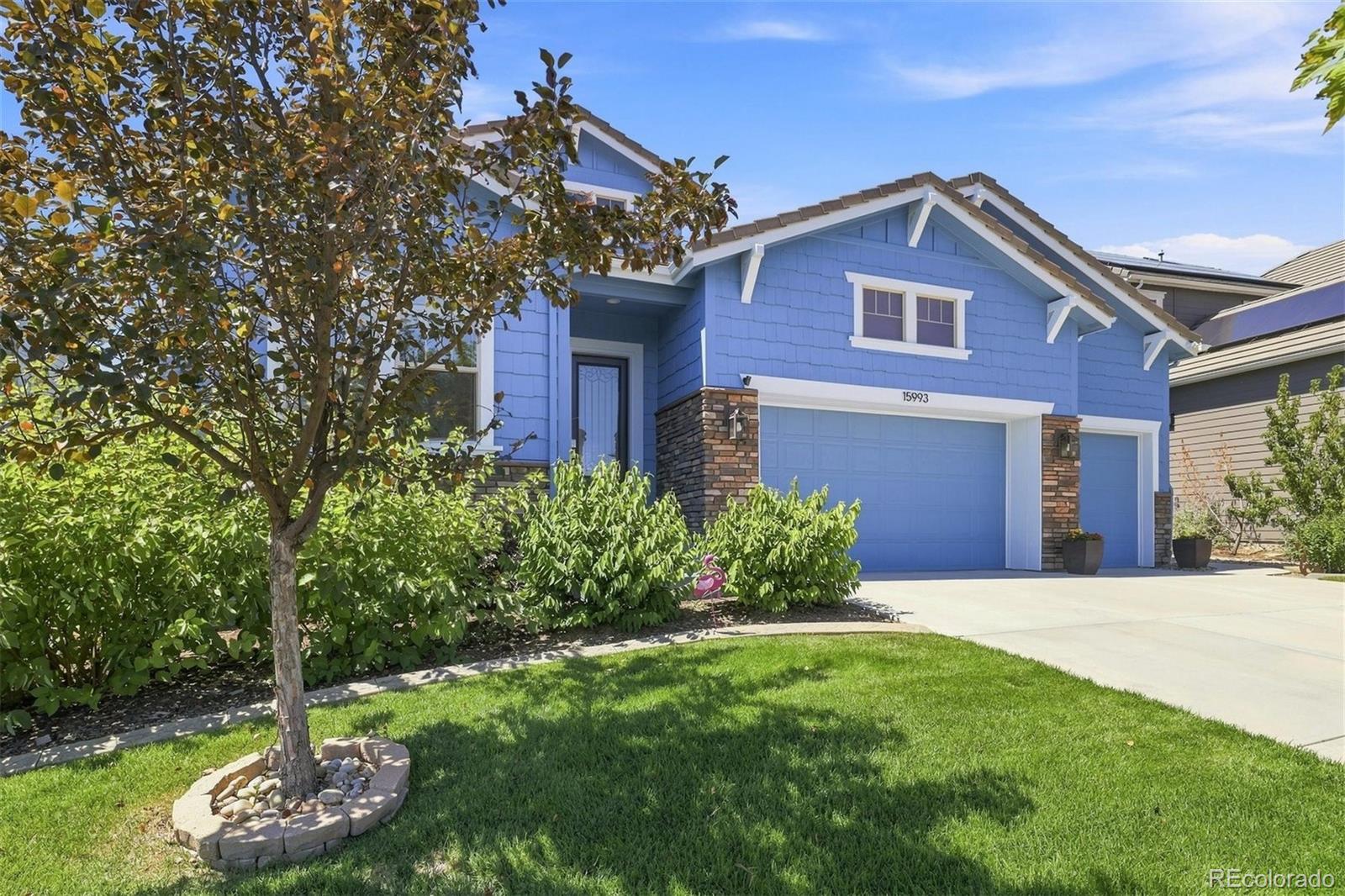 MLS Image #44 for 15993  swan mountain drive,broomfield, Colorado