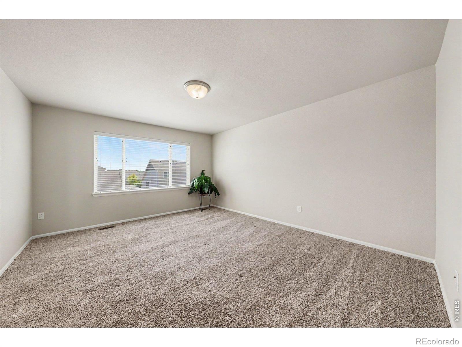 MLS Image #18 for 961  ashbrook drive,windsor, Colorado