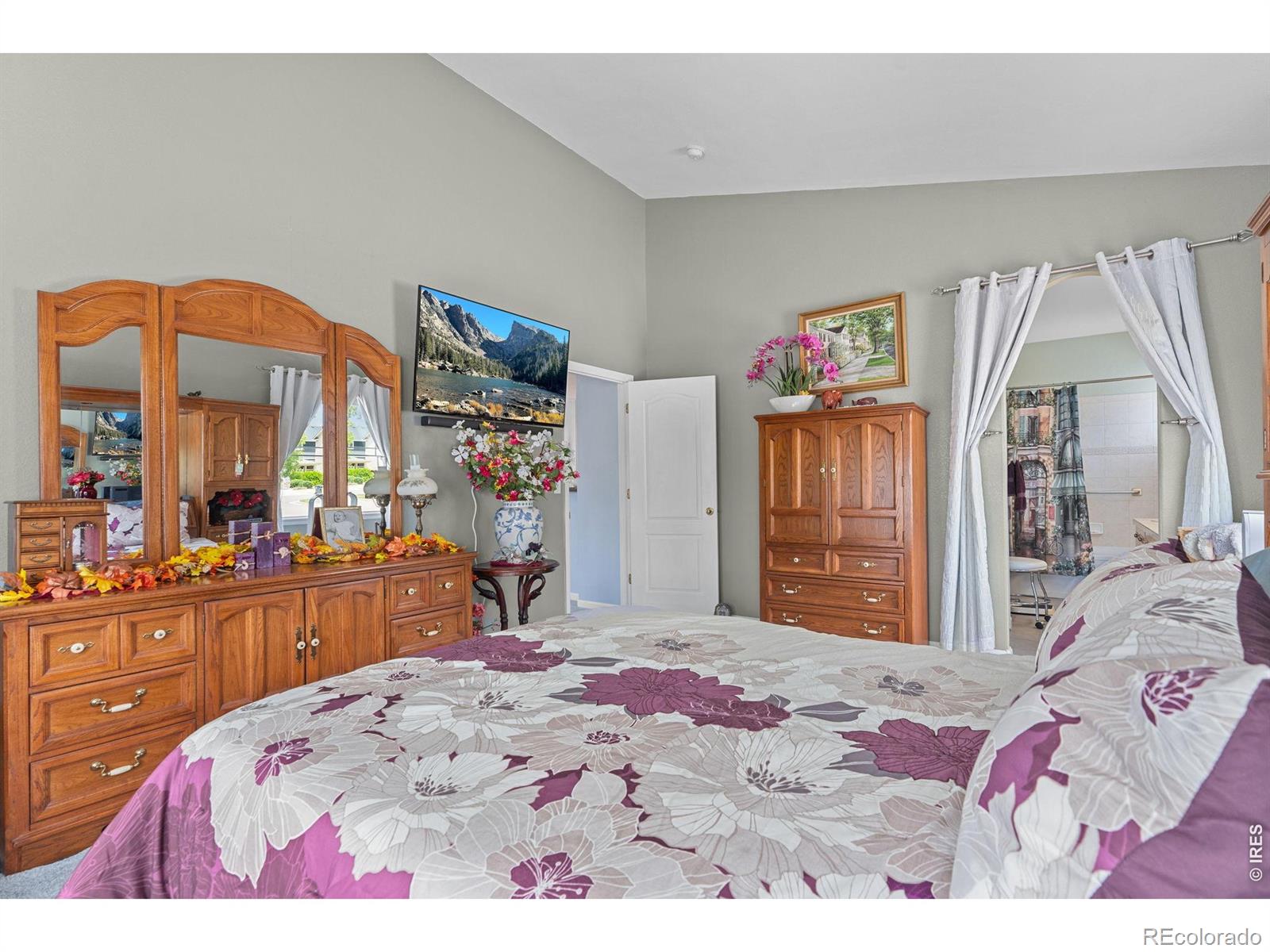 MLS Image #27 for 1848  idalia court,loveland, Colorado