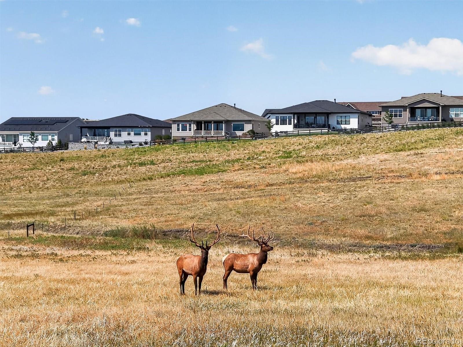 MLS Image #42 for 227  scrubjay lane,castle rock, Colorado
