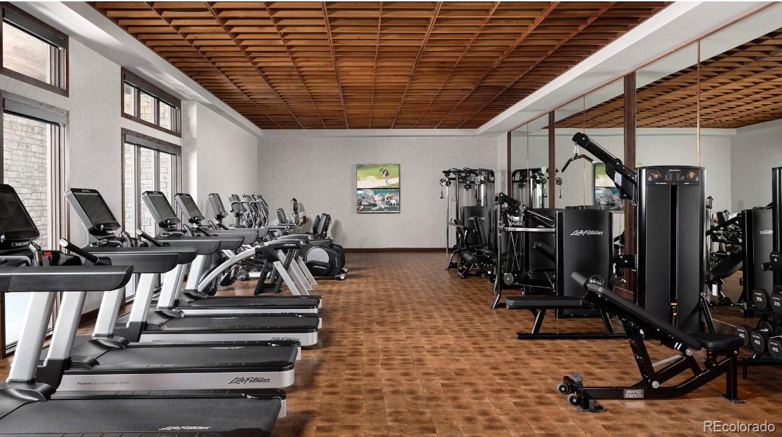MLS Image #46 for 227  scrubjay lane,castle rock, Colorado