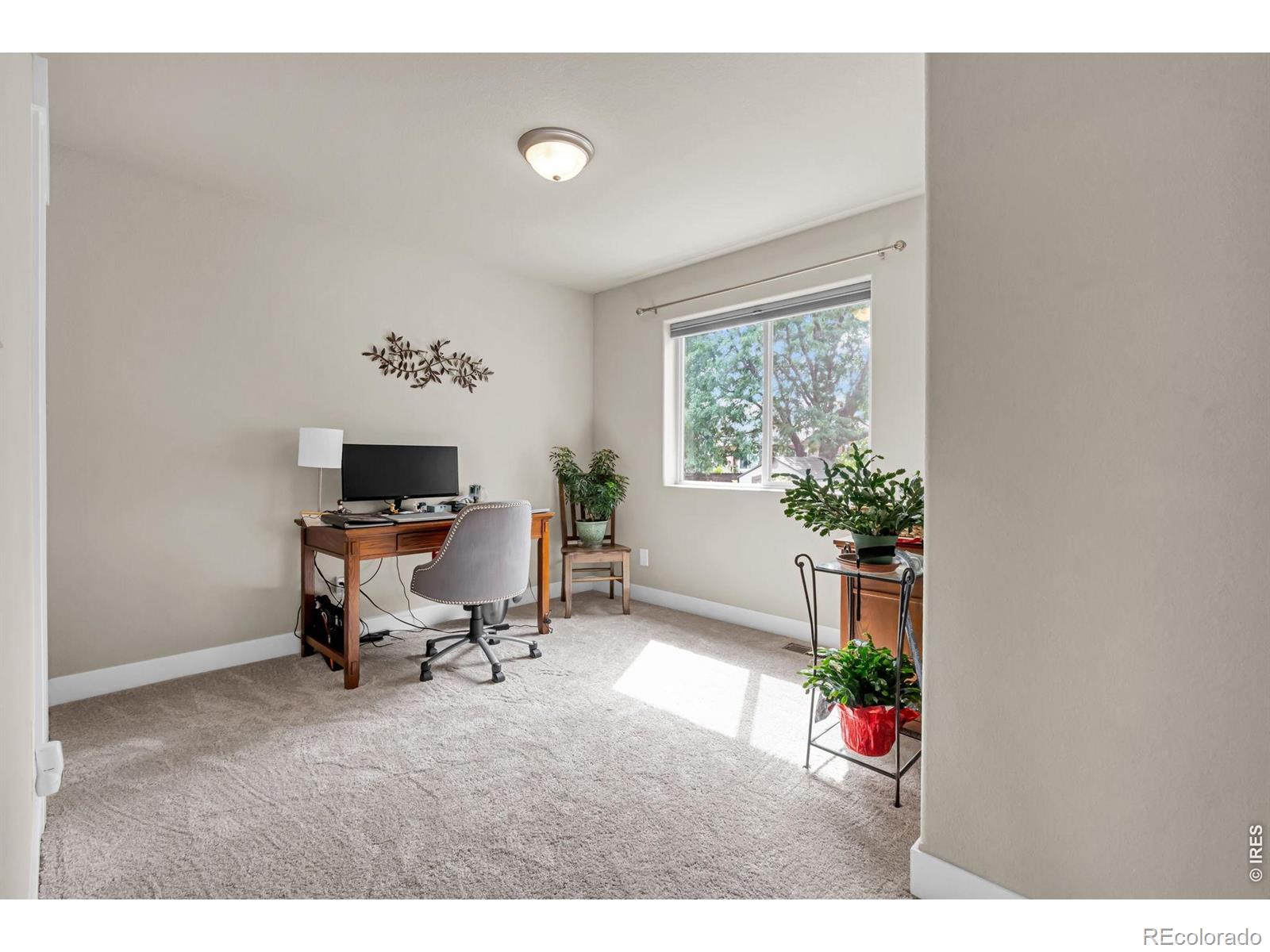 MLS Image #31 for 83  evans street,severance, Colorado