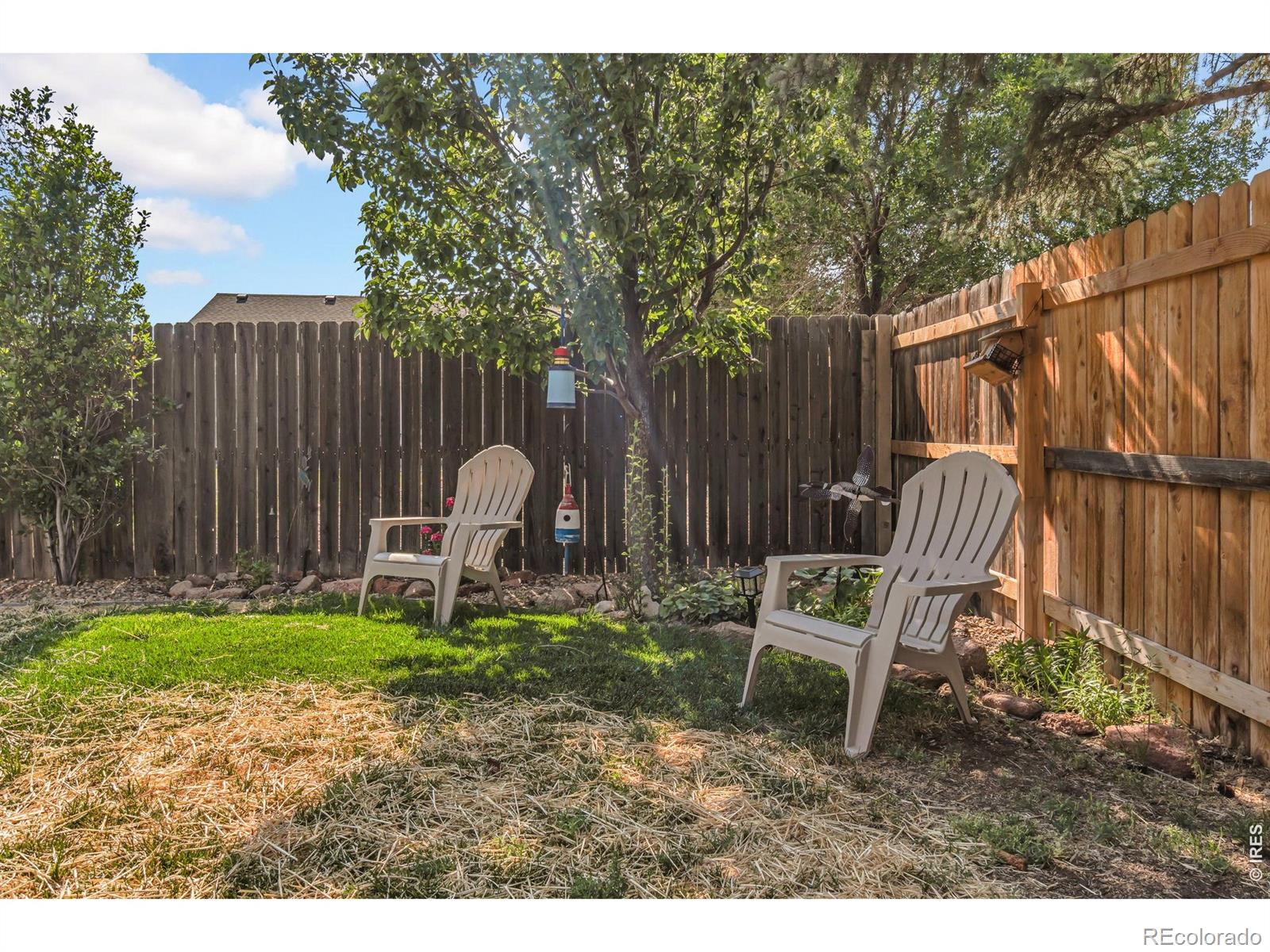 MLS Image #36 for 83  evans street,severance, Colorado