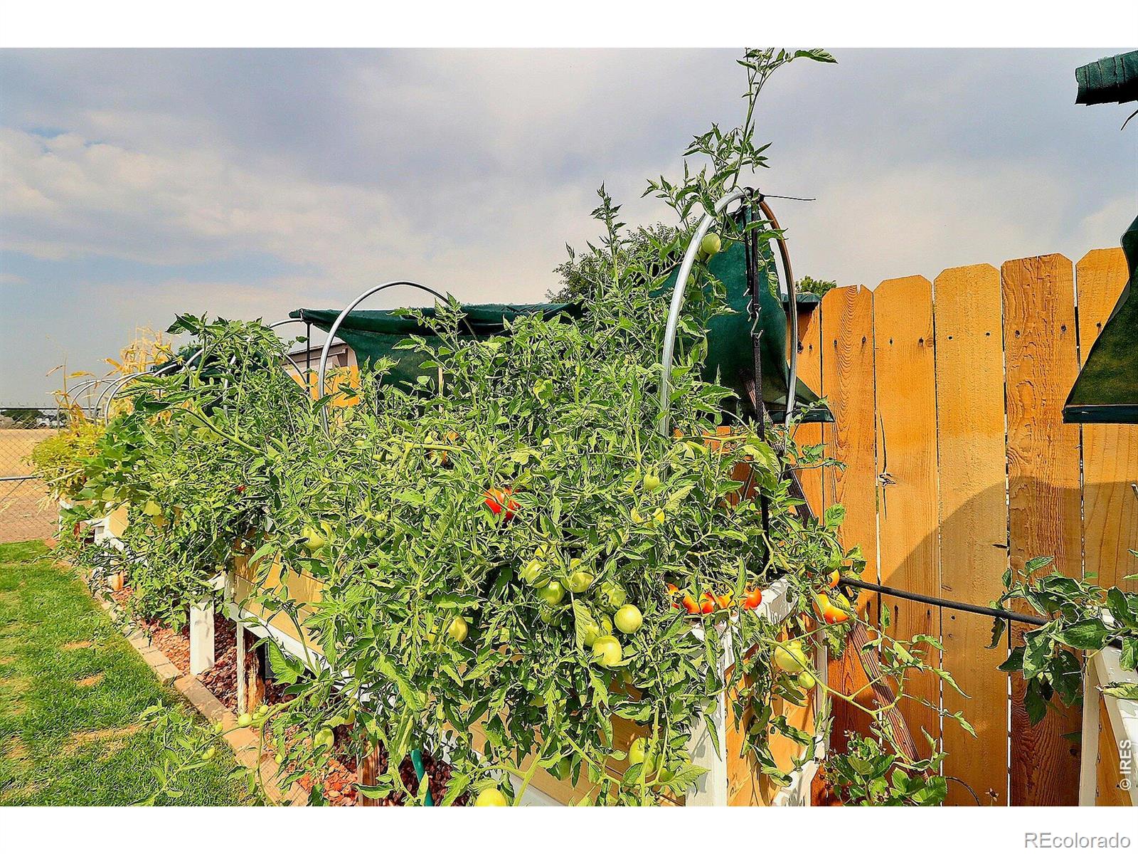 MLS Image #44 for 204  river road,platteville, Colorado