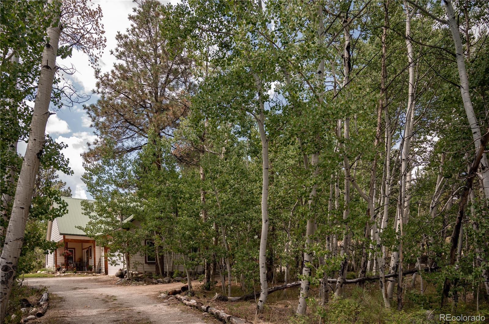 MLS Image #1 for 14820  little beaver lane,nathrop, Colorado