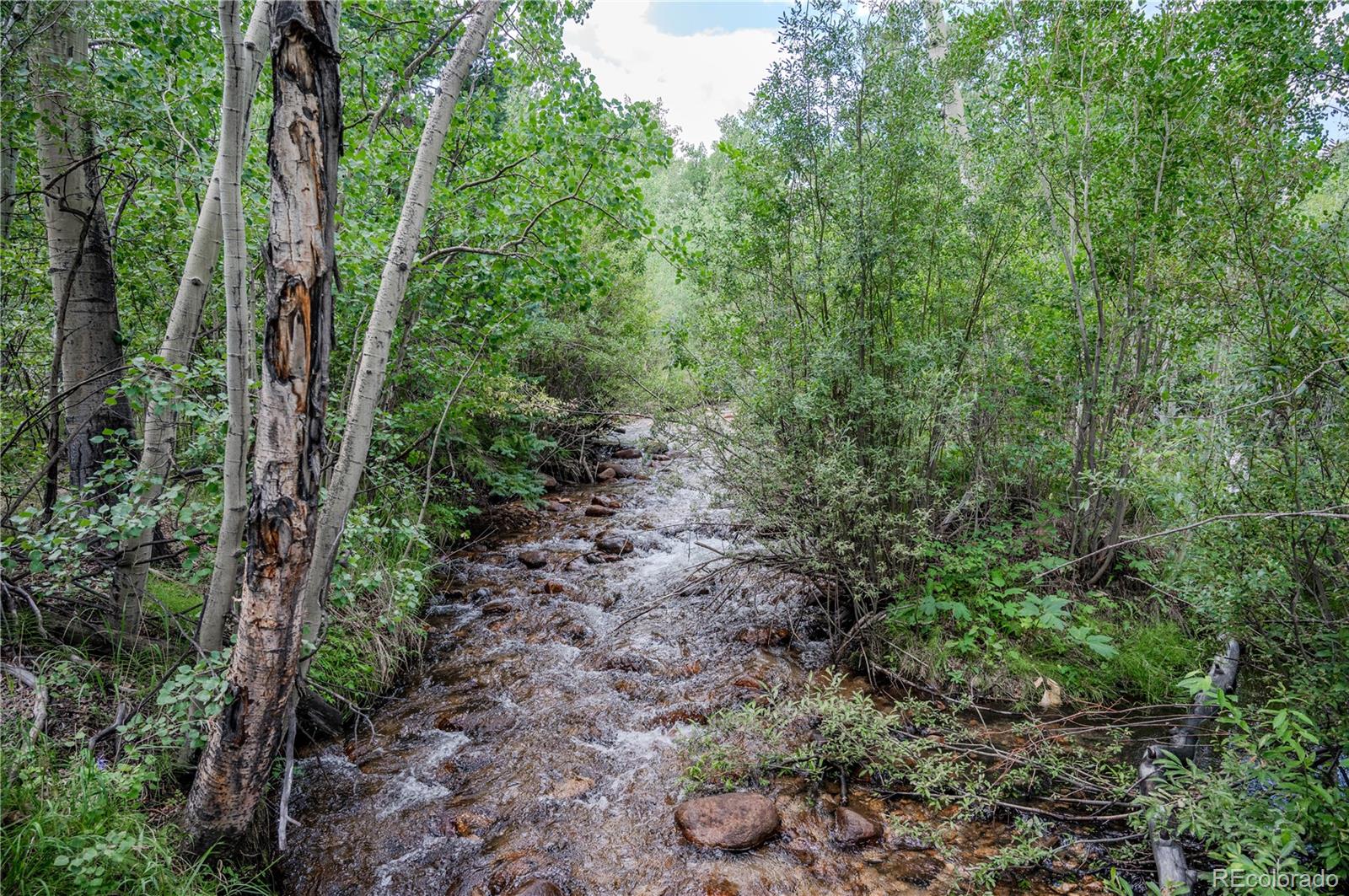 MLS Image #10 for 14820  little beaver lane,nathrop, Colorado