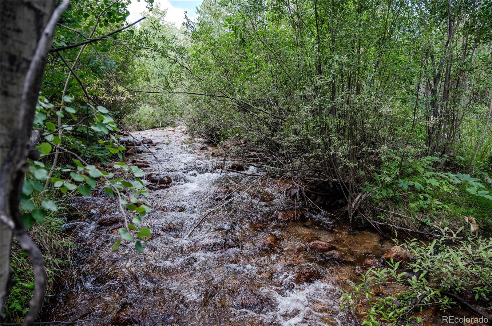 MLS Image #11 for 14820  little beaver lane,nathrop, Colorado