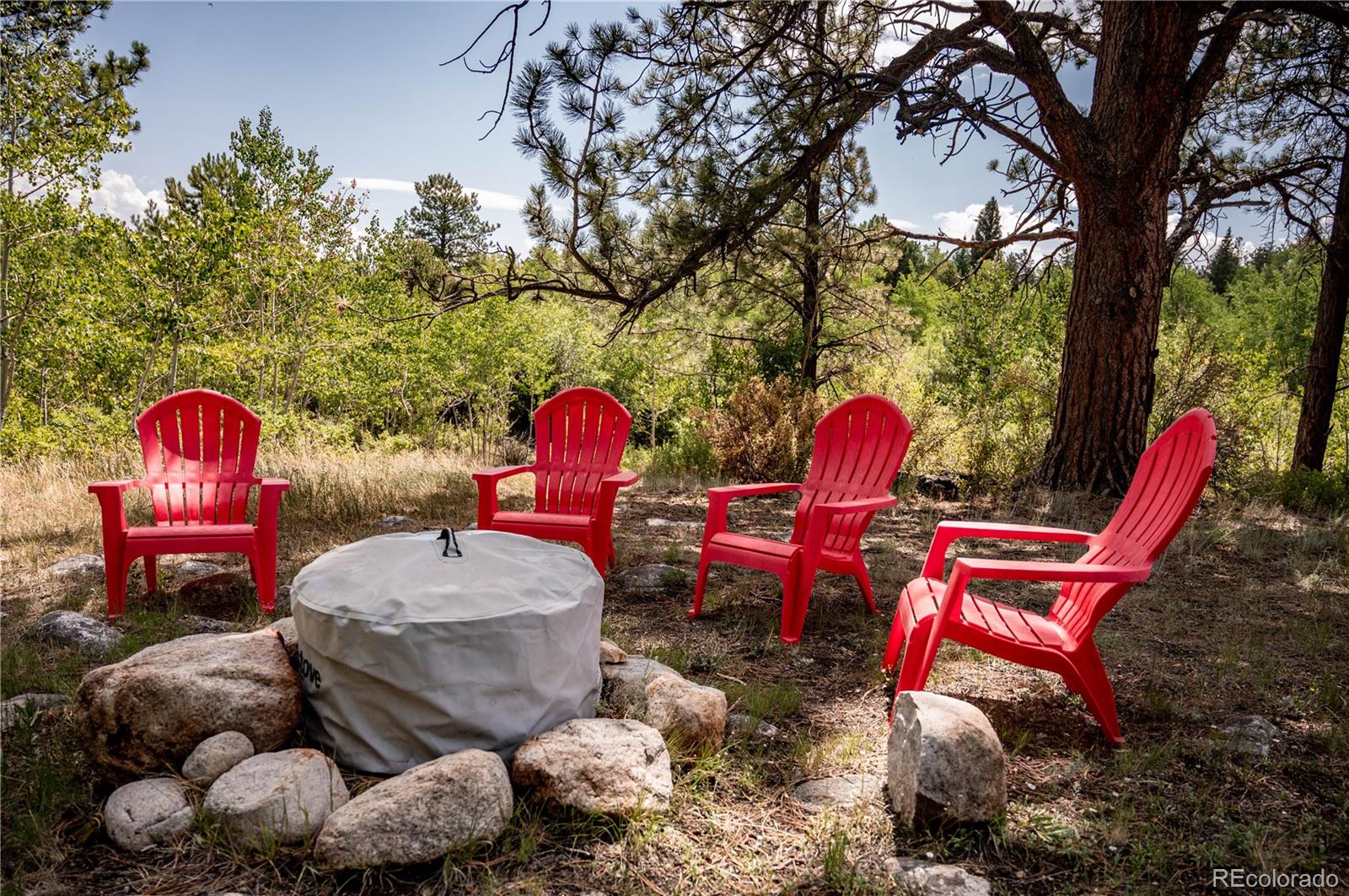 MLS Image #15 for 14820  little beaver lane,nathrop, Colorado