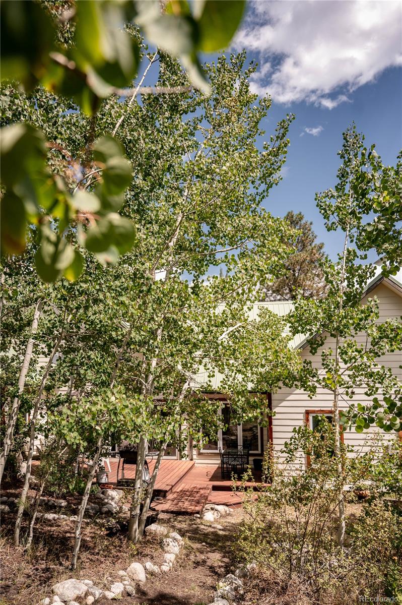 MLS Image #19 for 14820  little beaver lane,nathrop, Colorado