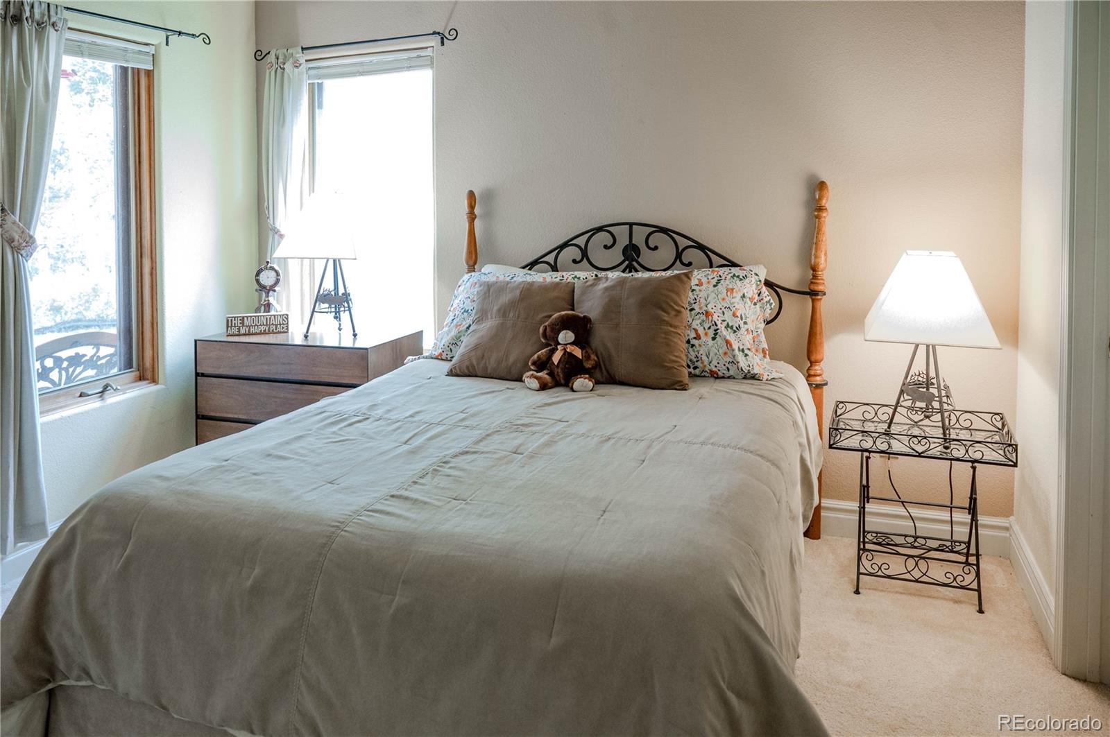 MLS Image #37 for 14820  little beaver lane,nathrop, Colorado
