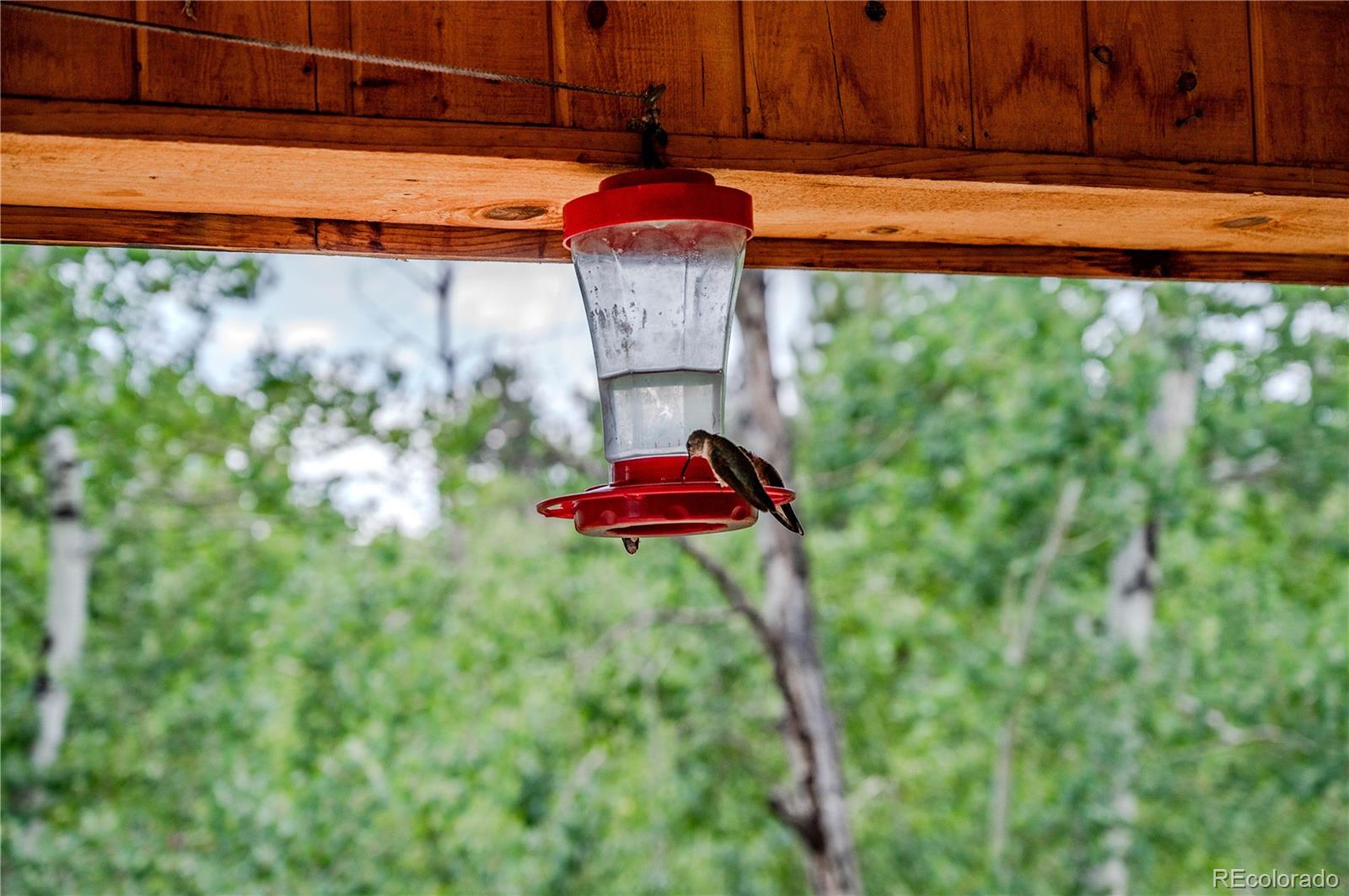 MLS Image #46 for 14820  little beaver lane,nathrop, Colorado