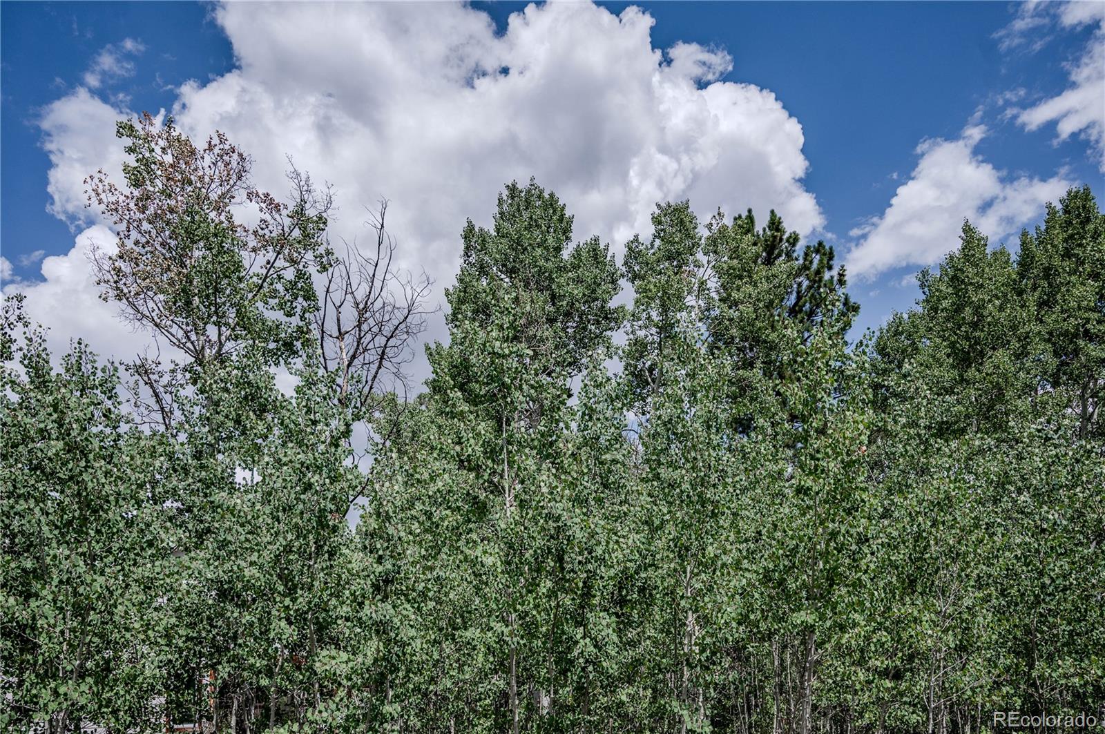 MLS Image #47 for 14820  little beaver lane,nathrop, Colorado