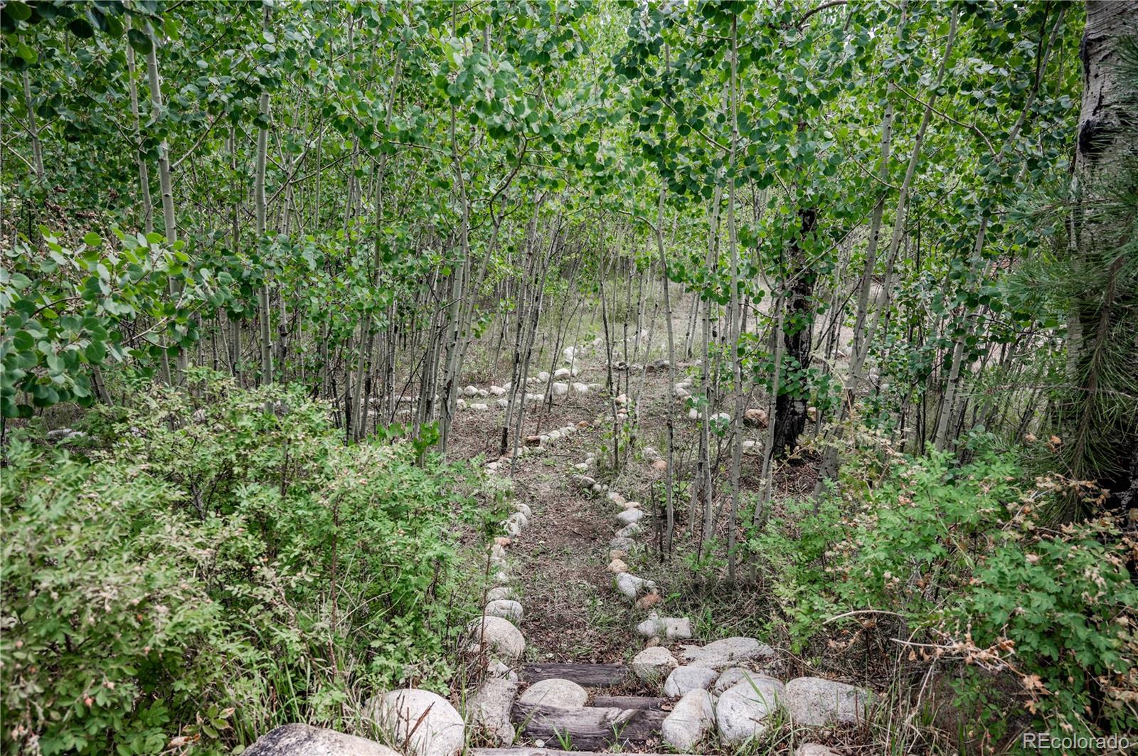 MLS Image #9 for 14820  little beaver lane,nathrop, Colorado