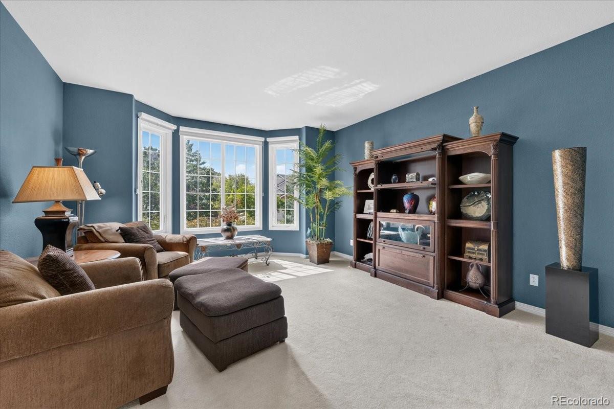 MLS Image #19 for 10852  bobcat terrace,lone tree, Colorado