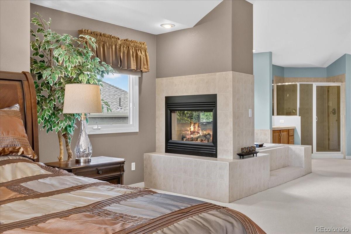 MLS Image #25 for 10852  bobcat terrace,lone tree, Colorado