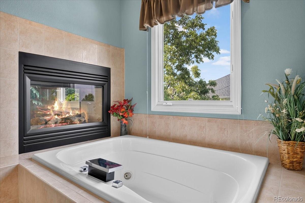 MLS Image #28 for 10852  bobcat terrace,lone tree, Colorado