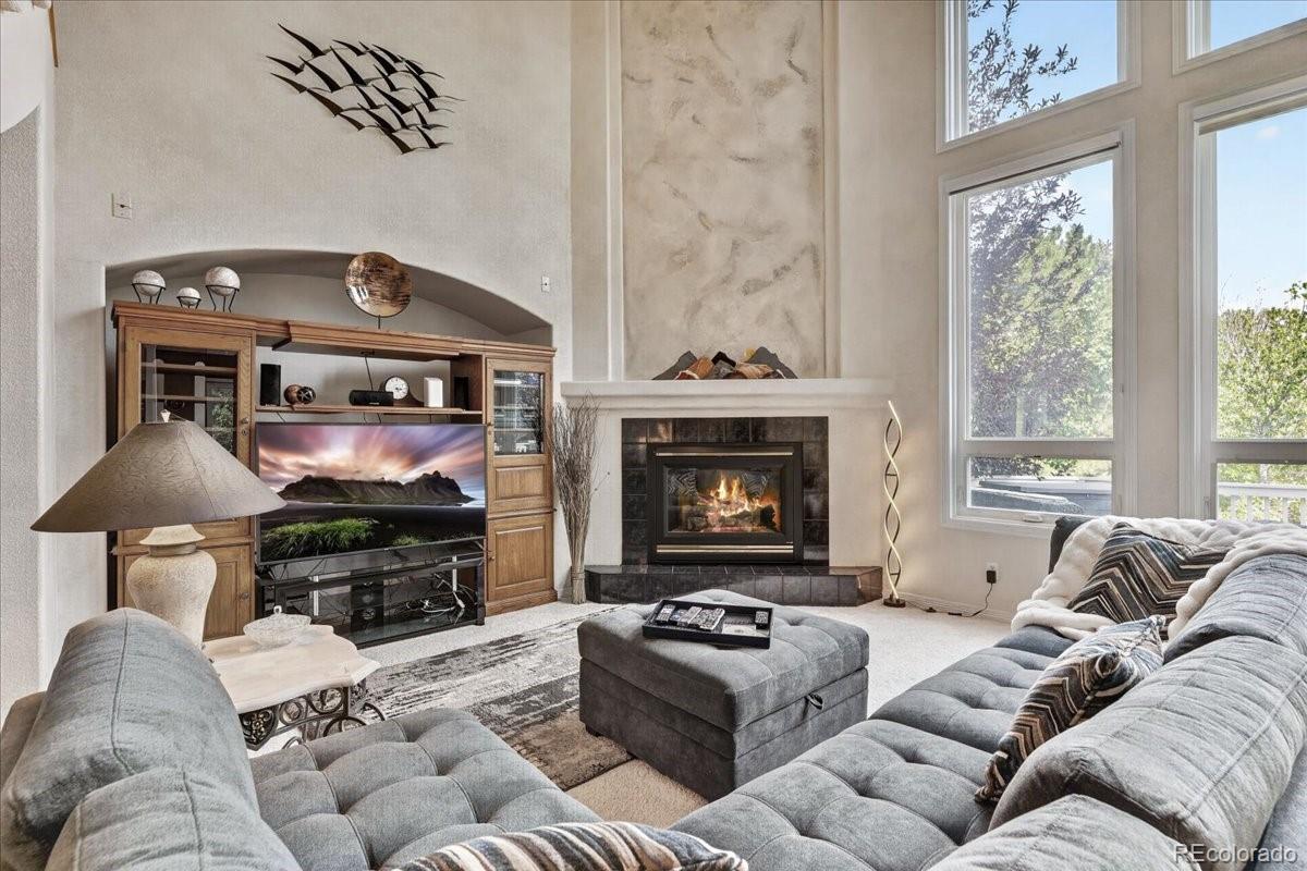 MLS Image #8 for 10852  bobcat terrace,lone tree, Colorado
