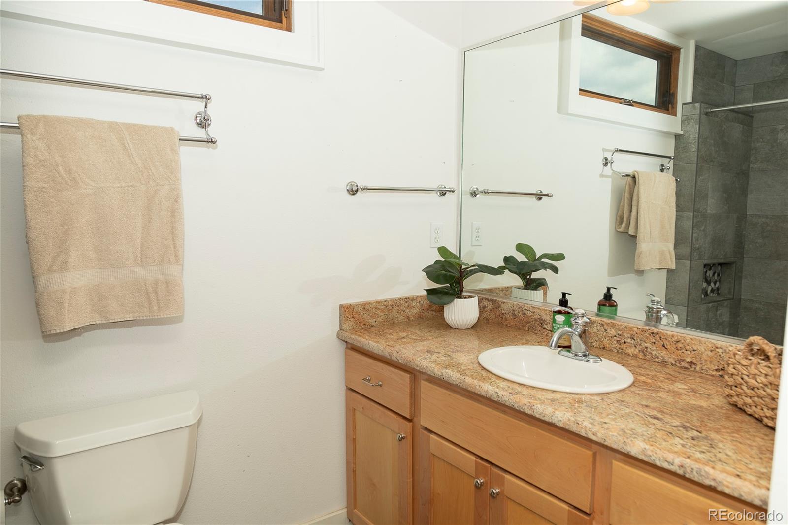 MLS Image #22 for 805  lake drive,south fork, Colorado