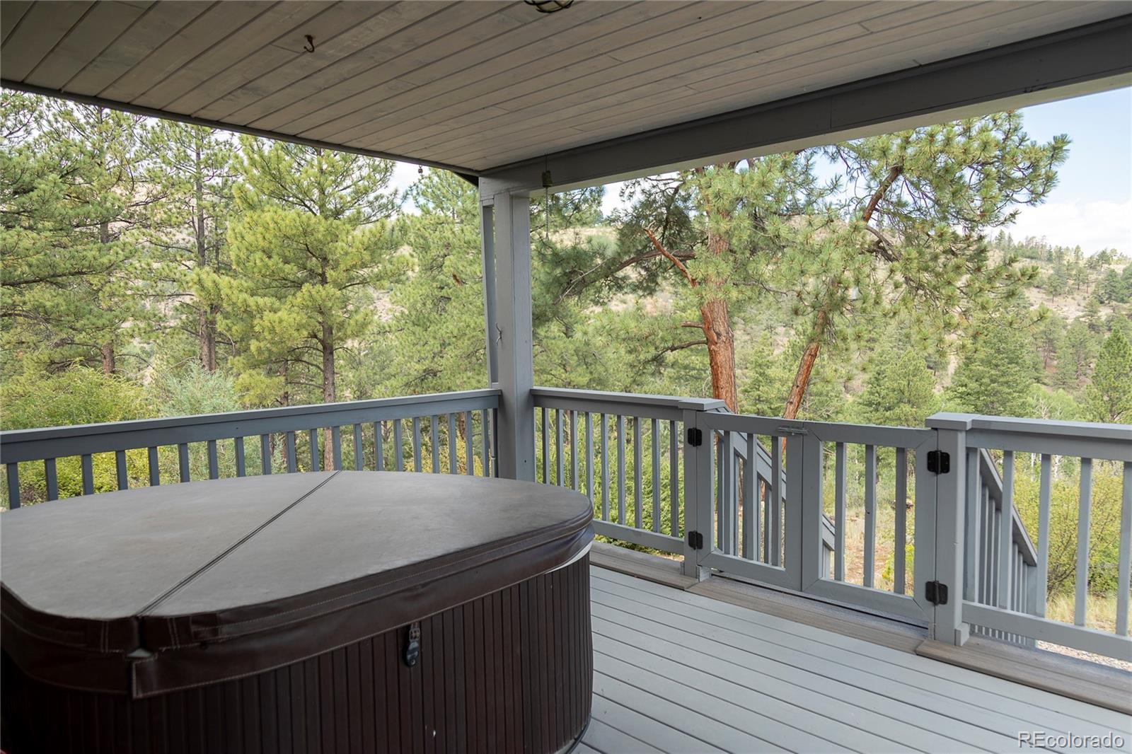 MLS Image #25 for 805  lake drive,south fork, Colorado