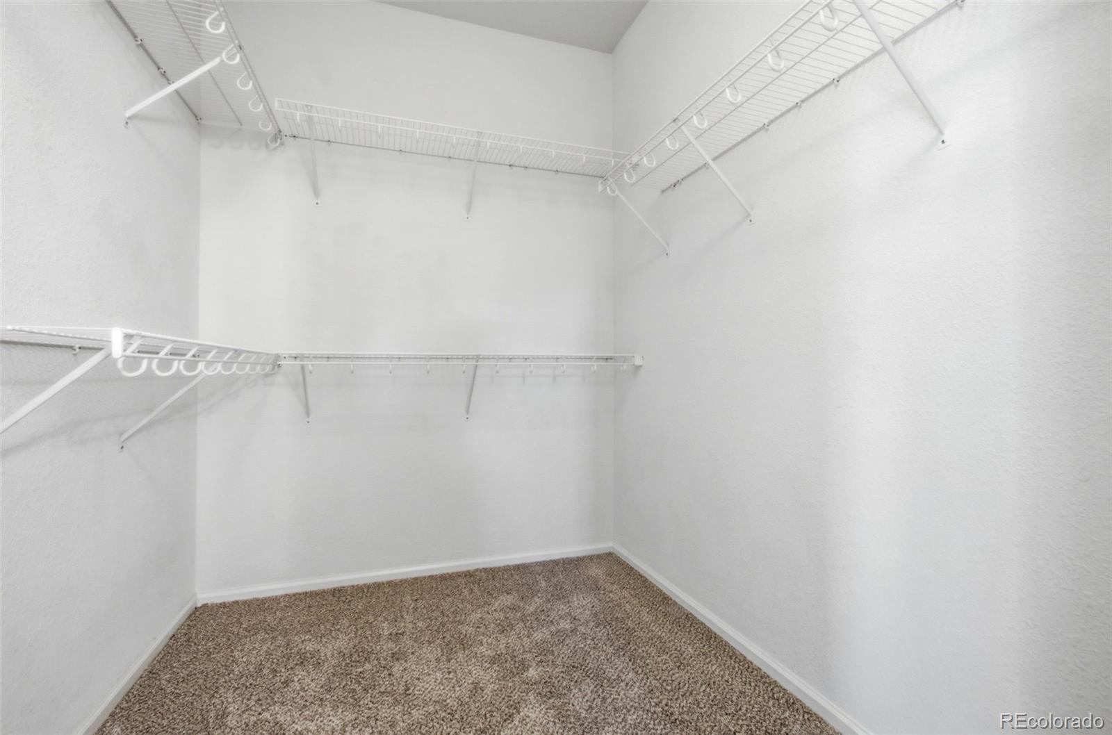 MLS Image #20 for 104  whitehaven circle,littleton, Colorado