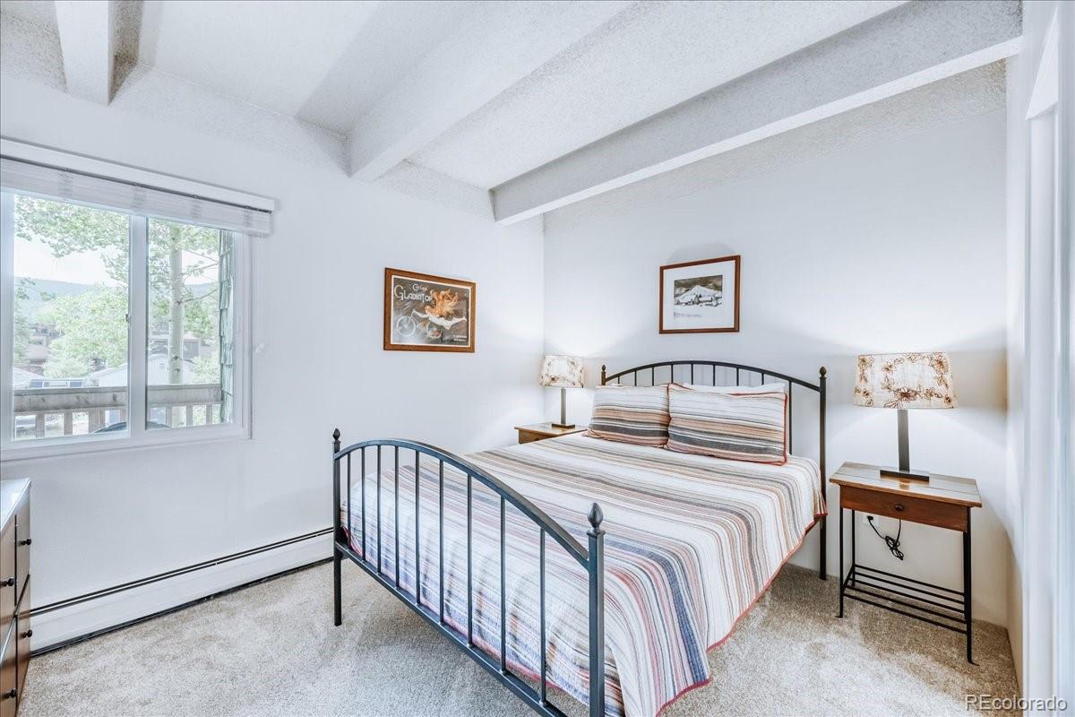 MLS Image #10 for 200  granite street,frisco, Colorado