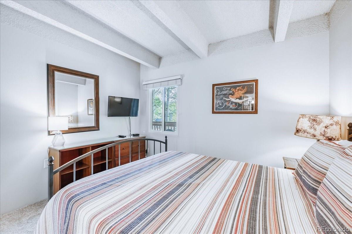 MLS Image #13 for 200  granite street,frisco, Colorado