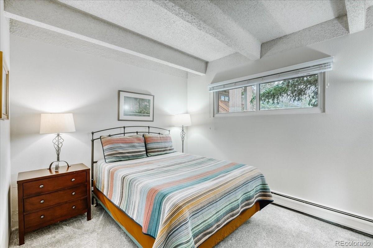 MLS Image #17 for 200  granite street,frisco, Colorado