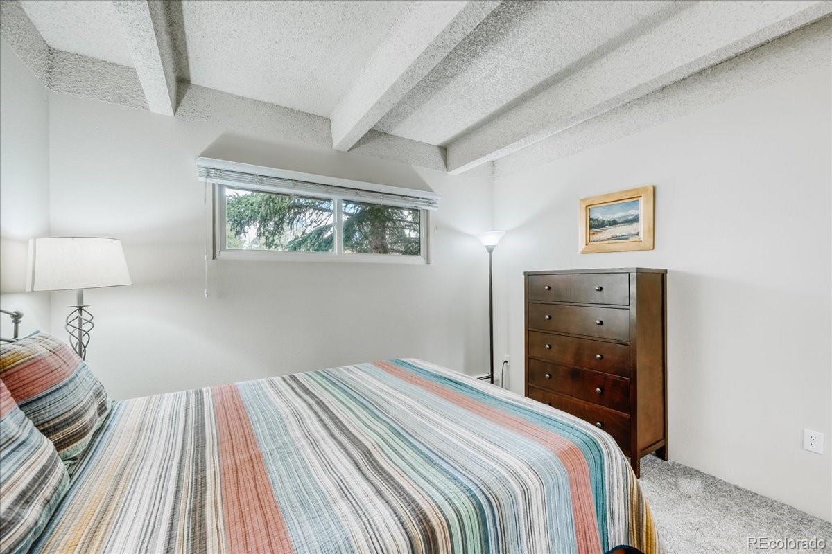 MLS Image #18 for 200  granite street,frisco, Colorado