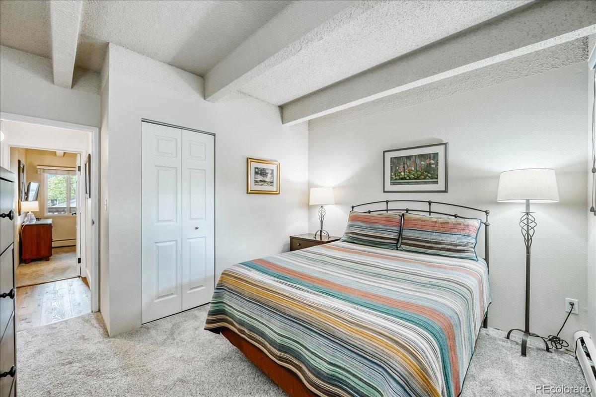 MLS Image #19 for 200  granite street,frisco, Colorado