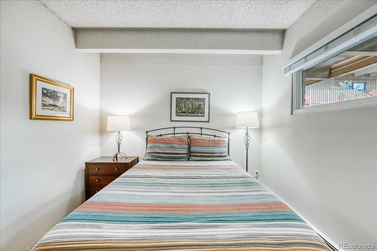 MLS Image #20 for 200  granite street,frisco, Colorado