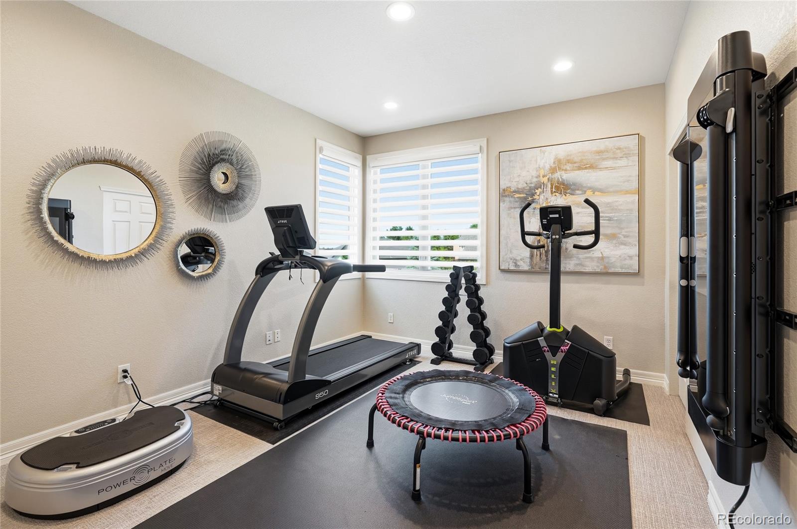 MLS Image #16 for 9779  bay hill drive,lone tree, Colorado