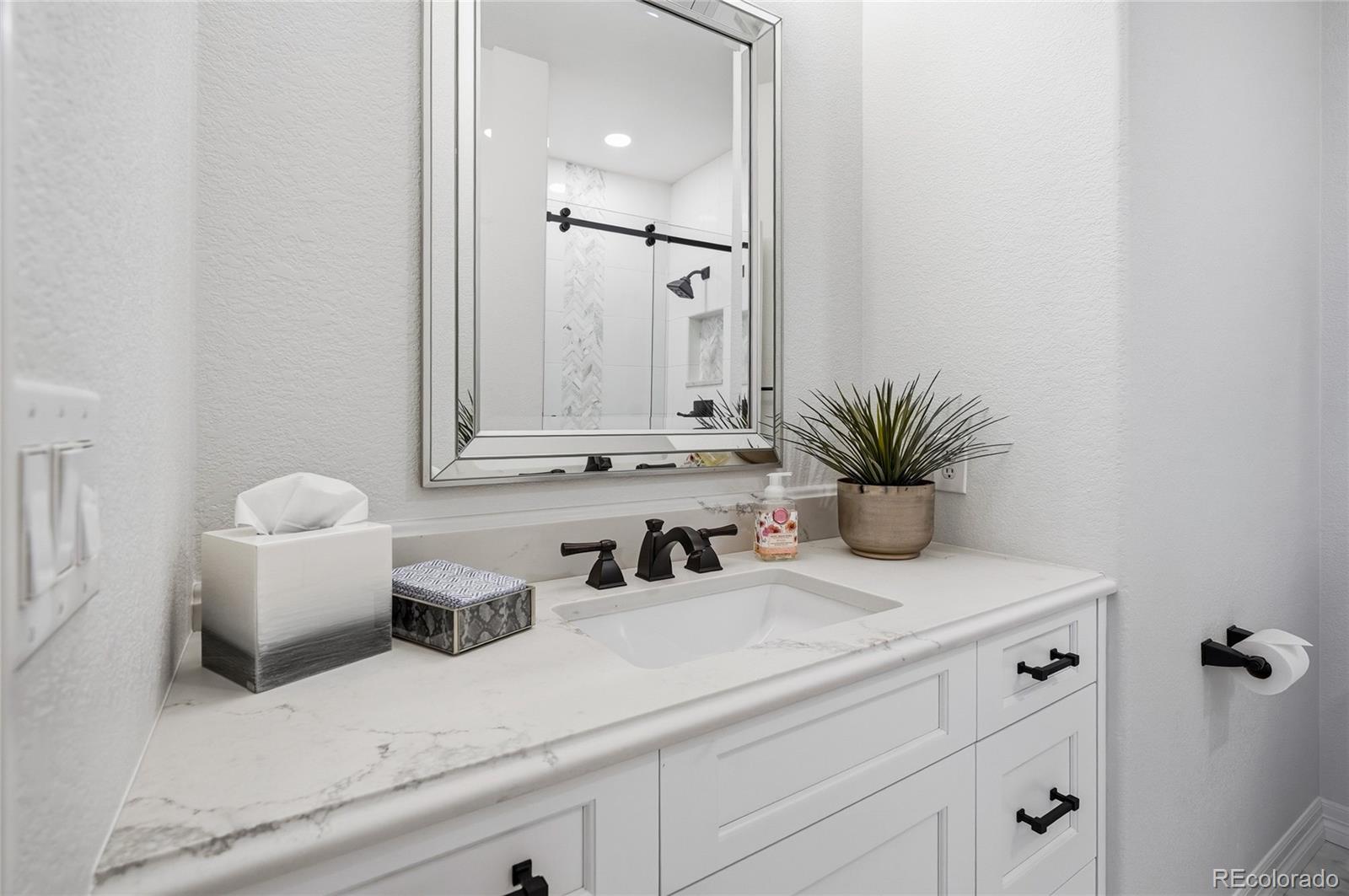 MLS Image #17 for 9779  bay hill drive,lone tree, Colorado